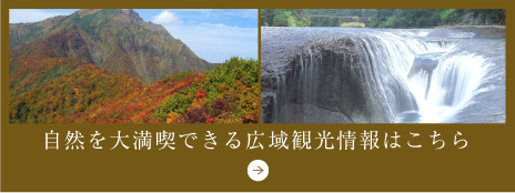自然を大満喫できる広域観光情報はこちら