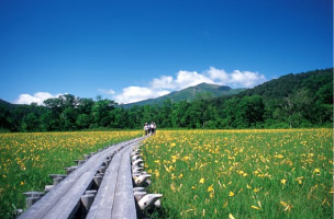 Oze national park
