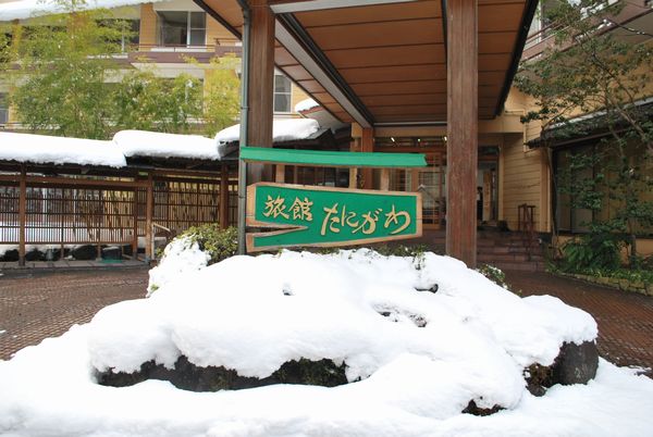 いよいよ谷川温泉にも雪が積もりました。